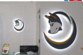 White Acrylic with LED - Pet Project
